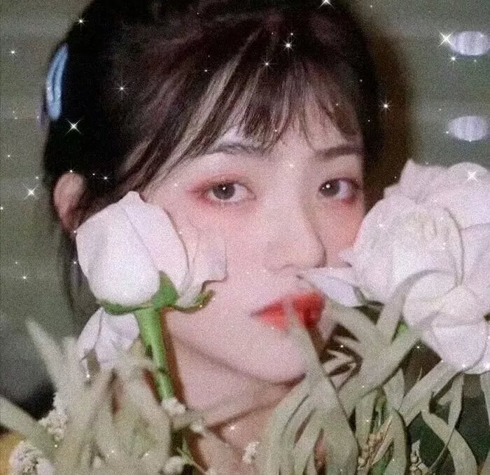 雾水总统